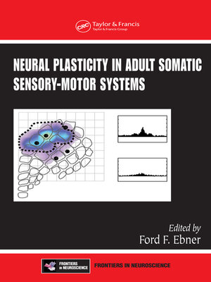 cover image of Neural Plasticity in Adult Somatic Sensory-Motor Systems